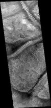 MOC narrow-angle image M11-04220 